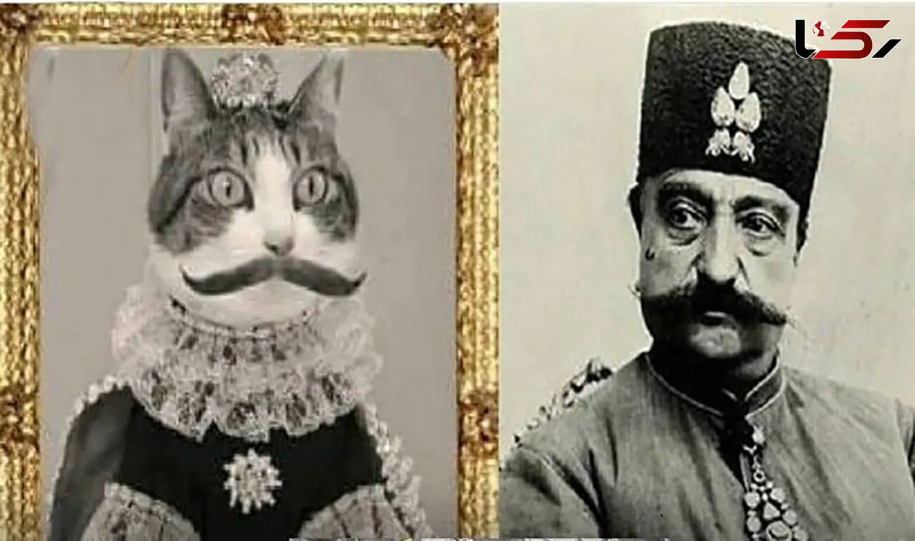 این گربه در دربار ناصرالدین شاه حقوق می گرفت / زنان دربار از شدت حسادت او را کشتند + عکس ببری خان