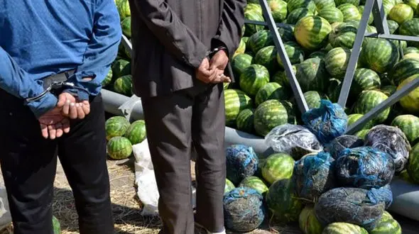 هندوانه های تریاکی به مقصد نرسید / در تهران فاش شد