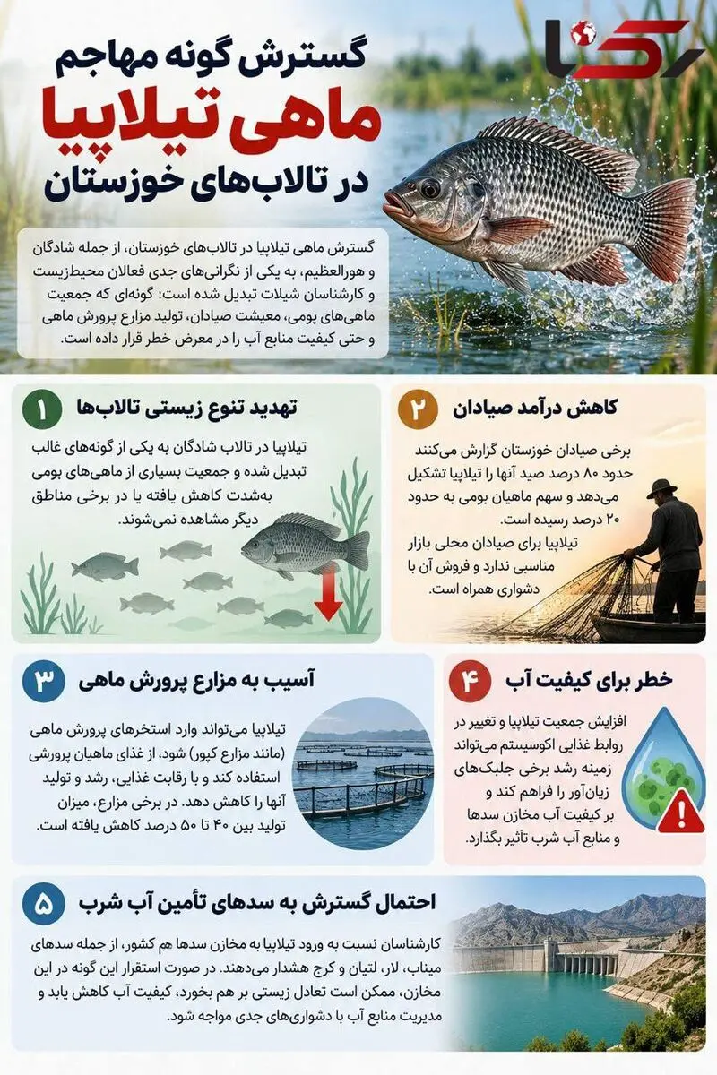 اینفو ماهی تیلاپیا