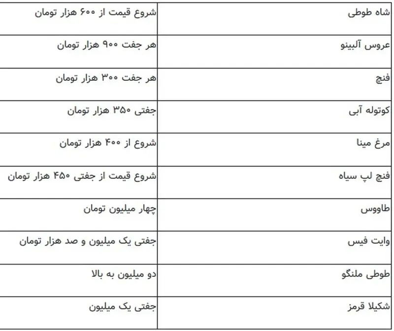 حیوانات خانگی