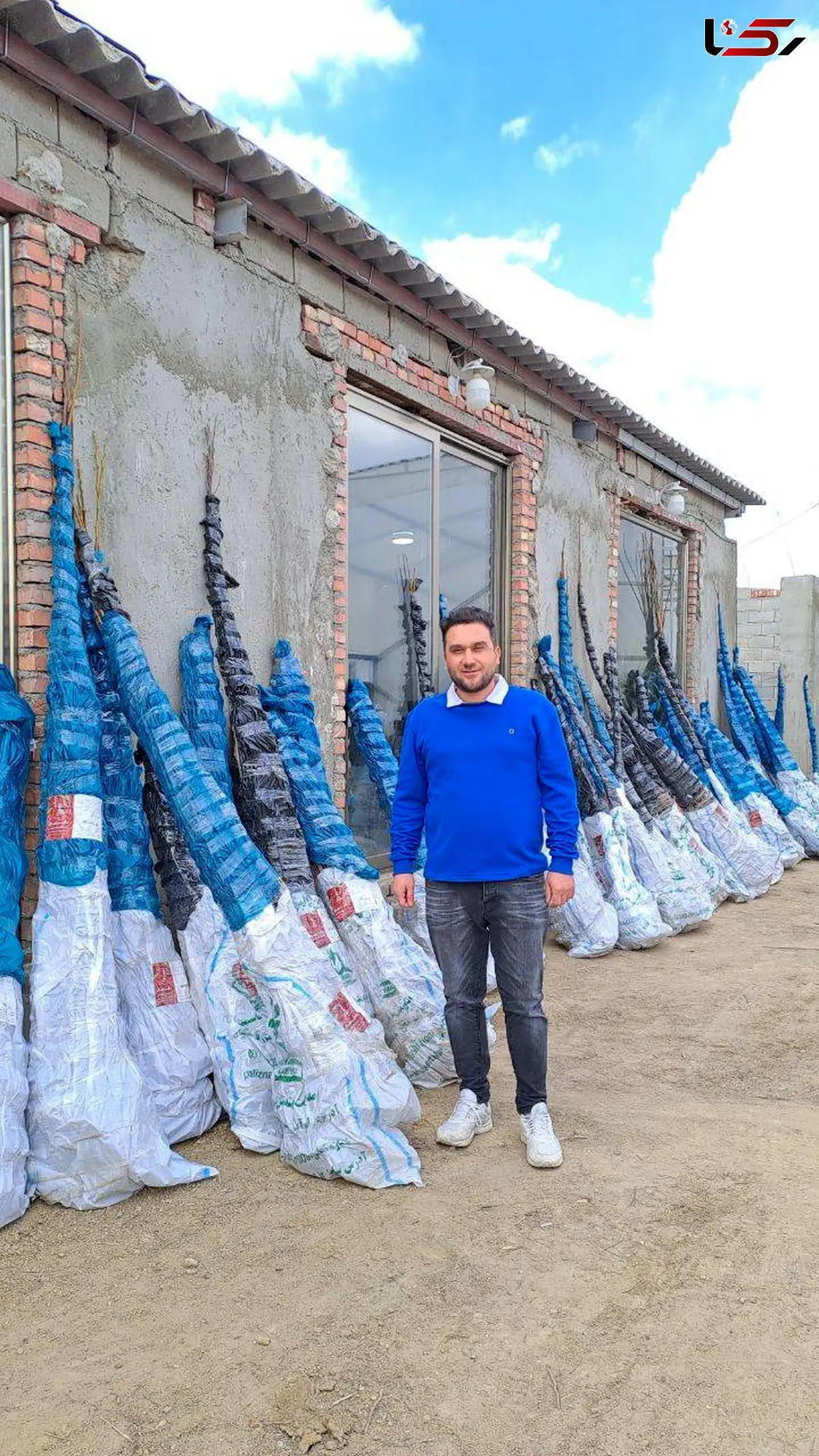 پردرآمدترین درختان میوه برای کشاورزان کدامند