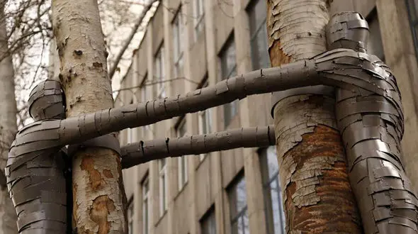 اقدام جالب شهرداری تهران در پویش درختستان + عکس 