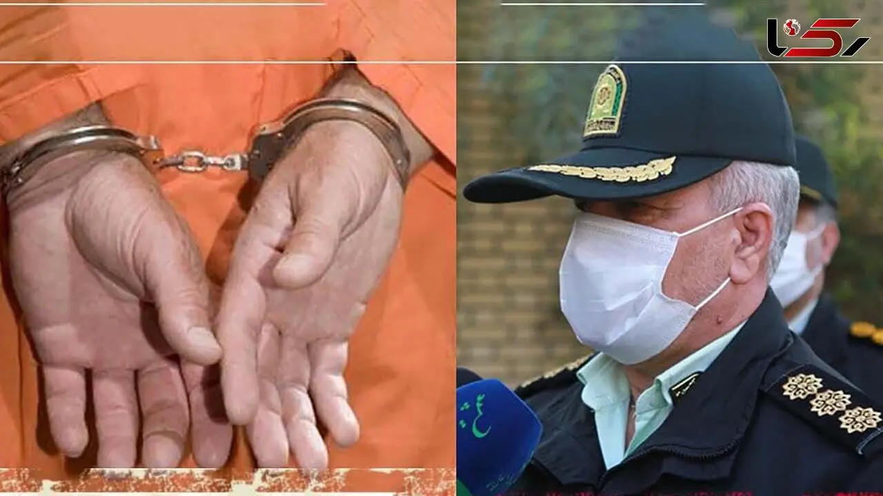 سرقت 400 میلیونی از یک دامداری در قم 
