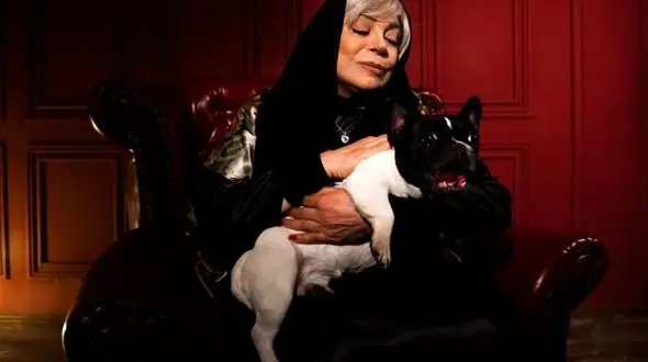 لو رفتن عکس زایمان گوهر خیراندیش ! / جوانی جذاب زن و شوهری !