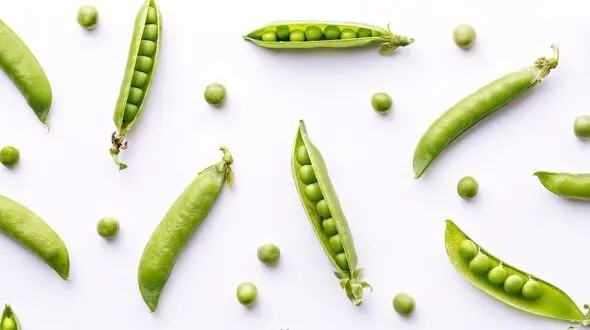 خوشمزه های بهاری را بشناسید!