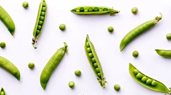 خوشمزه های بهاری را بشناسید!