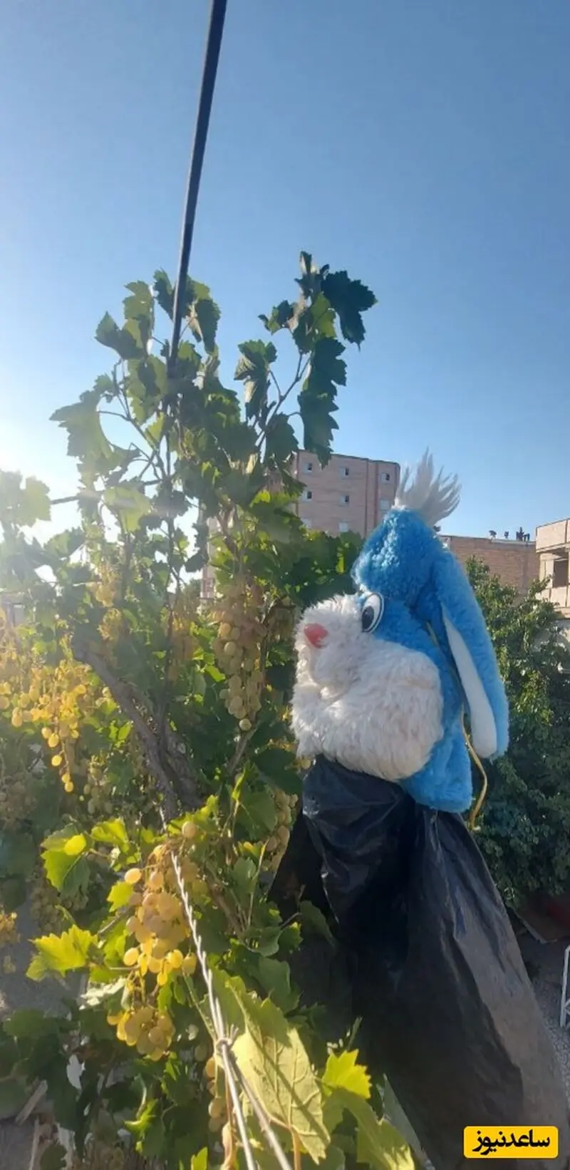 مترسک خنده‌دار