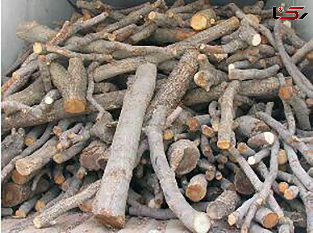 کشف 20 تن چوب قاچاق در کبودراهنگ