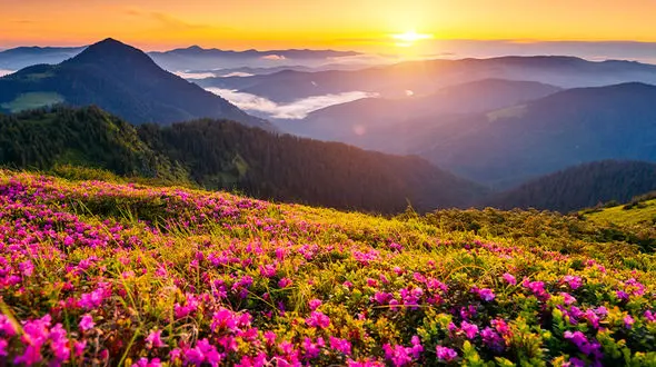 زیبایی های طبیعت را ببینید