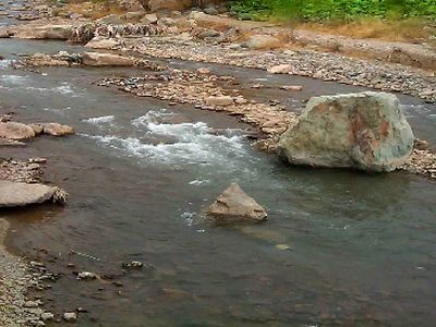 زیبایی‌ های بهاری محلات؛ سفری به قلب طبیعت + فیلم