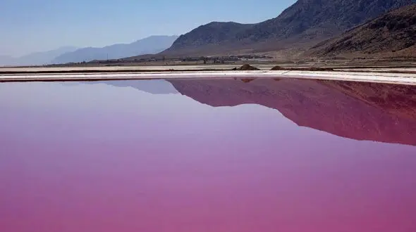 مرداب دریوک در کلاردشت + فیلم 