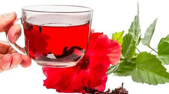 چای ترش؛ یک نوشیدنی لذیذ و معجزه آسای تابستانی