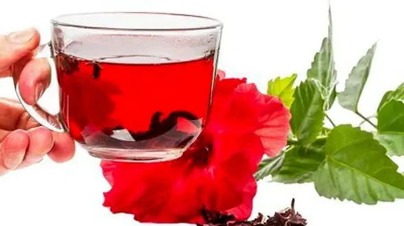 چای ترش؛ یک نوشیدنی لذیذ و معجزه آسای تابستانی