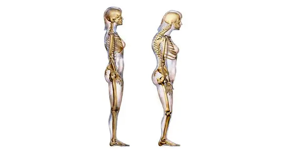 منشأ اصلی دردهای عضلانی مشخص شد