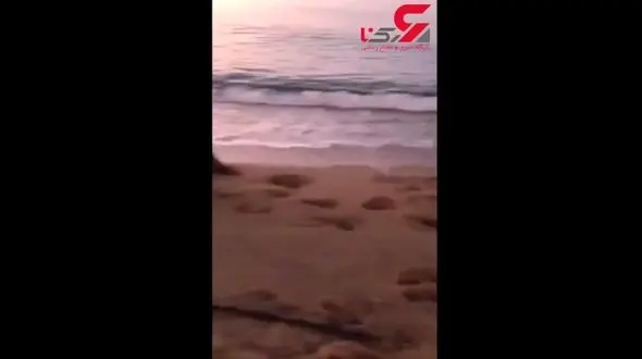 حمله خونین توریست با سارق مراکشی+فیلم