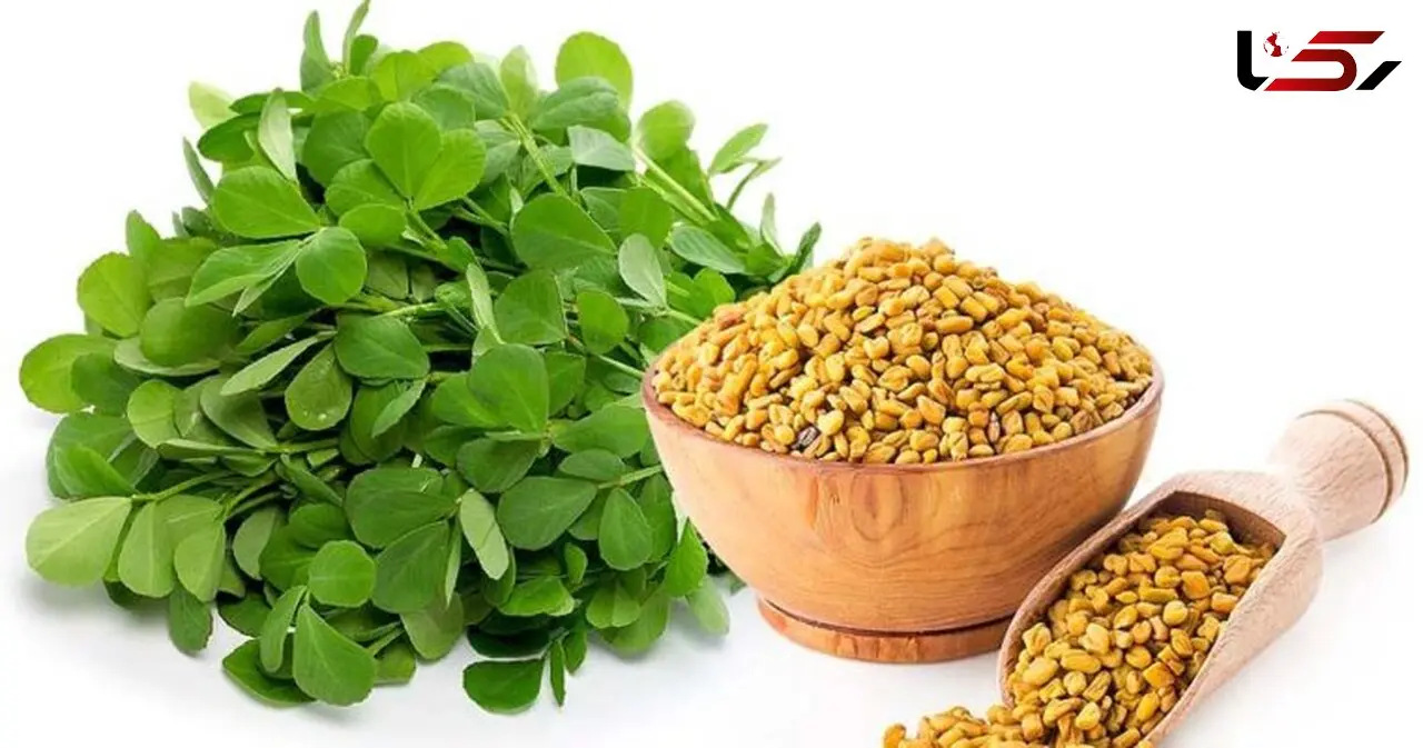 گزینه های غذایی برای افراد شاغل کم تحرک/لاغر بمانید