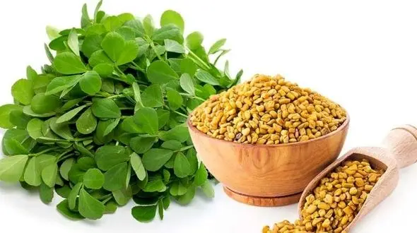 گزینه های غذایی برای افراد شاغل کم تحرک/لاغر بمانید