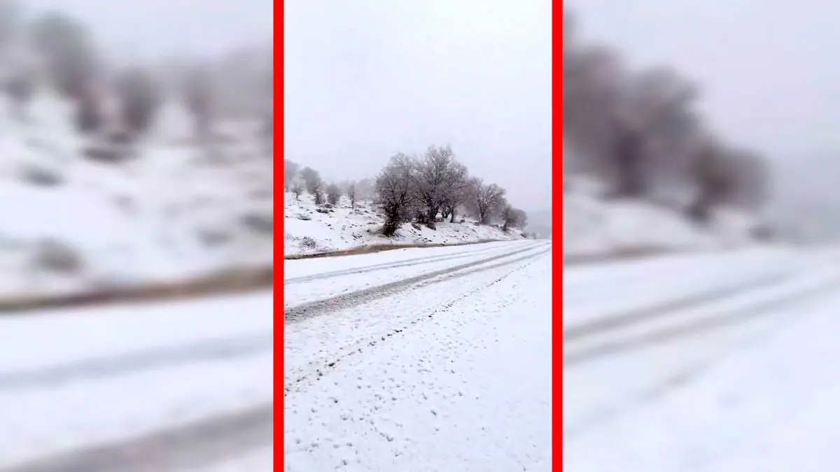 فیلم برف زیبا در تنگه ارغوان ایلام