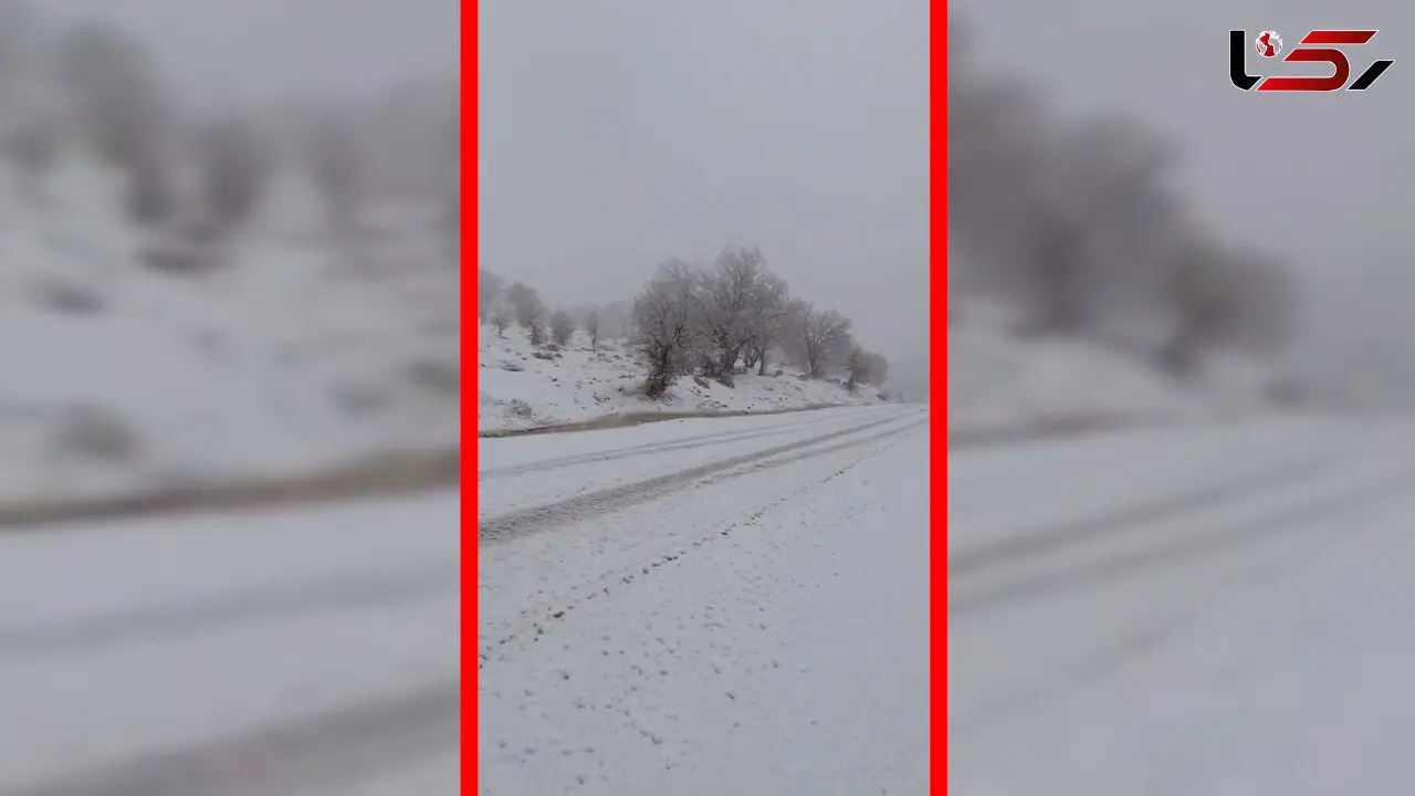 فیلم برف زیبا در تنگه ارغوان ایلام