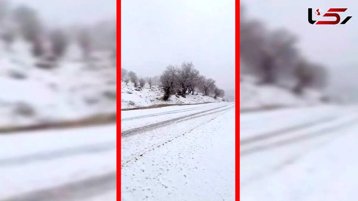 فیلم برف زیبا در تنگه ارغوان ایلام