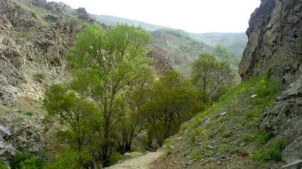 طبیعت محدوده «درکه» پاکسازی شد