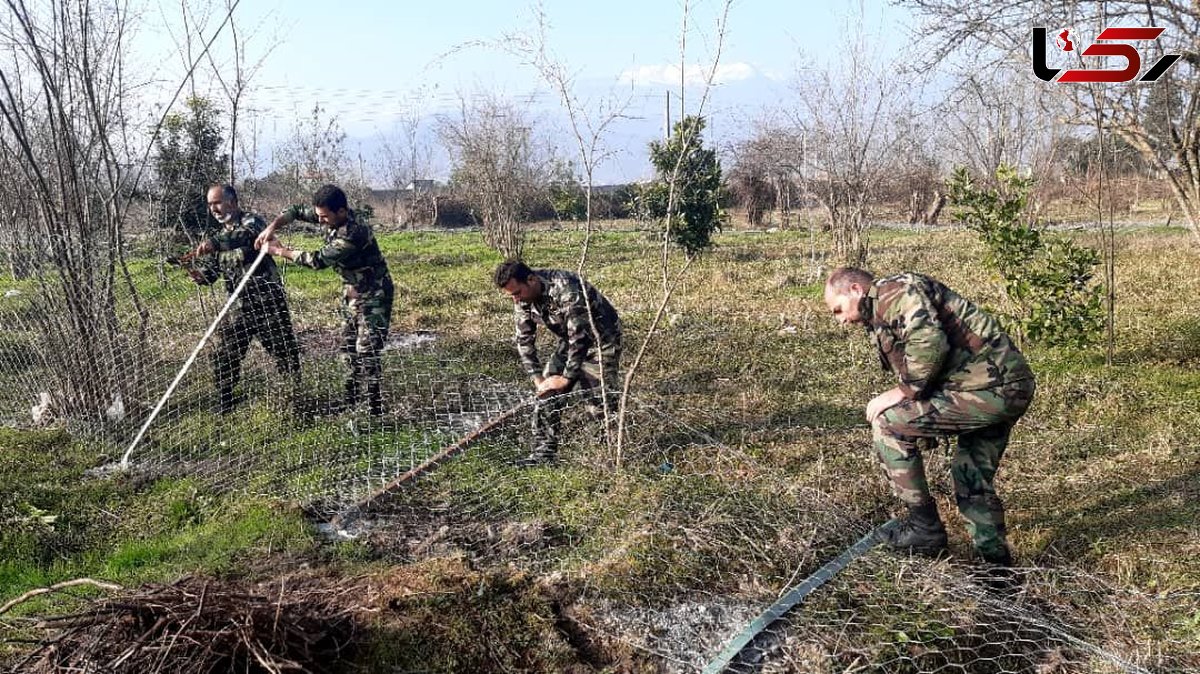 رفع تصرف و کشف چوب آلات قاچاق جنگلی در شهرستان فومن