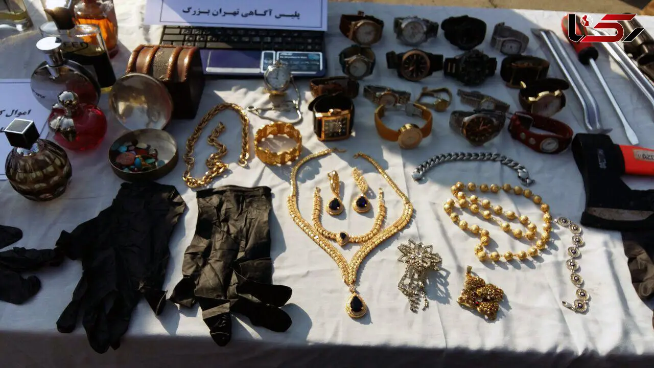 انهدام باند دزدان خانه‌ها در پاتک پلیس / رییس باند مرد عنکبوتی بود + عکس