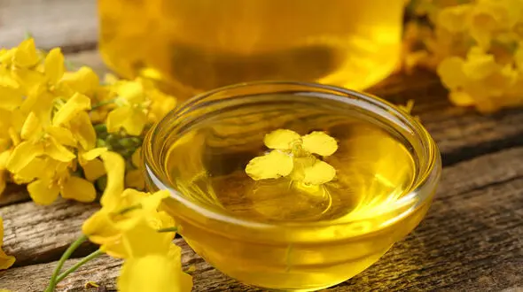 هشدار درباره کمبود روغن در ماه‌های آینده؛ حذف ارز ترجیحی فعلاً بازار را آرام نگه داشته است