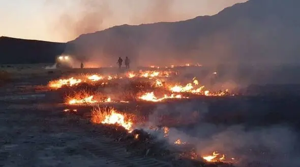 آتش سوزی عمدی در 3 منطقه اندیکا / کینه ای قدیمی که به جان مراتع افتاد