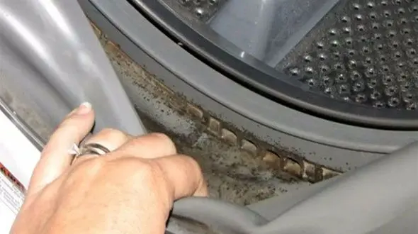 فیلم/ نحوه جرم گیری ماشین لباس شویی با نوشابه 