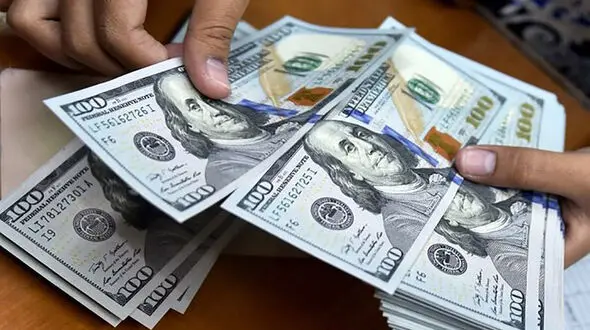 300 میلیون دلار در نیما عرضه شد/ نرخ دلار نیمایی اعلام شد