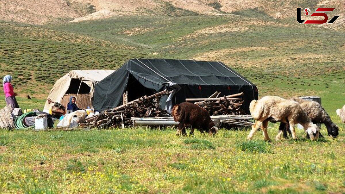 لزوم ساخت انبار برای نهاده‌های دامی عشایر تهران در زمستان