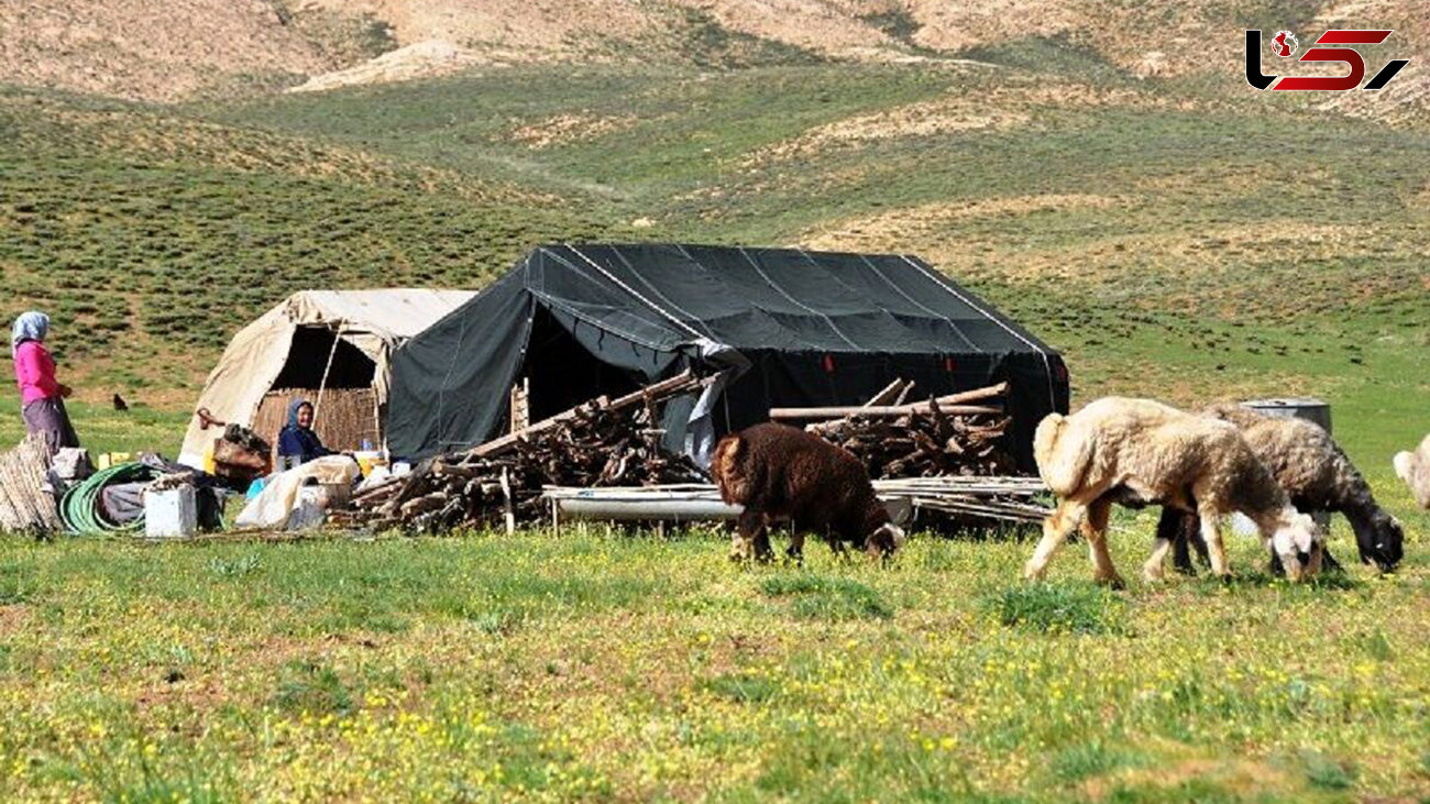 لزوم ساخت انبار برای نهاده‌های دامی عشایر تهران در زمستان