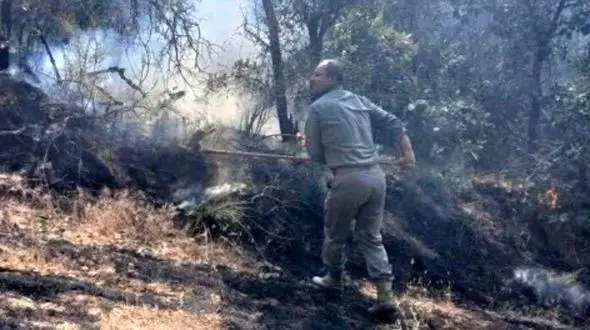 مهار آتش‌سوزی مهیب در شاهو و کوسالان؛ خسارت به ۲۰ هکتار جنگل و مرتع