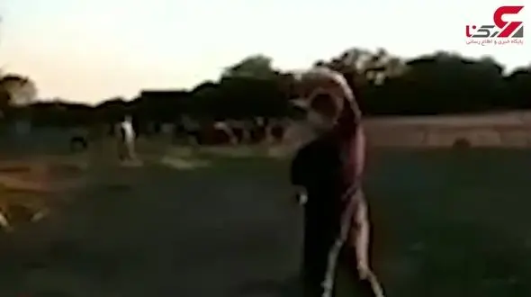 حمله وحشیانه گاو به چوپان برزیلی + فیلم 
