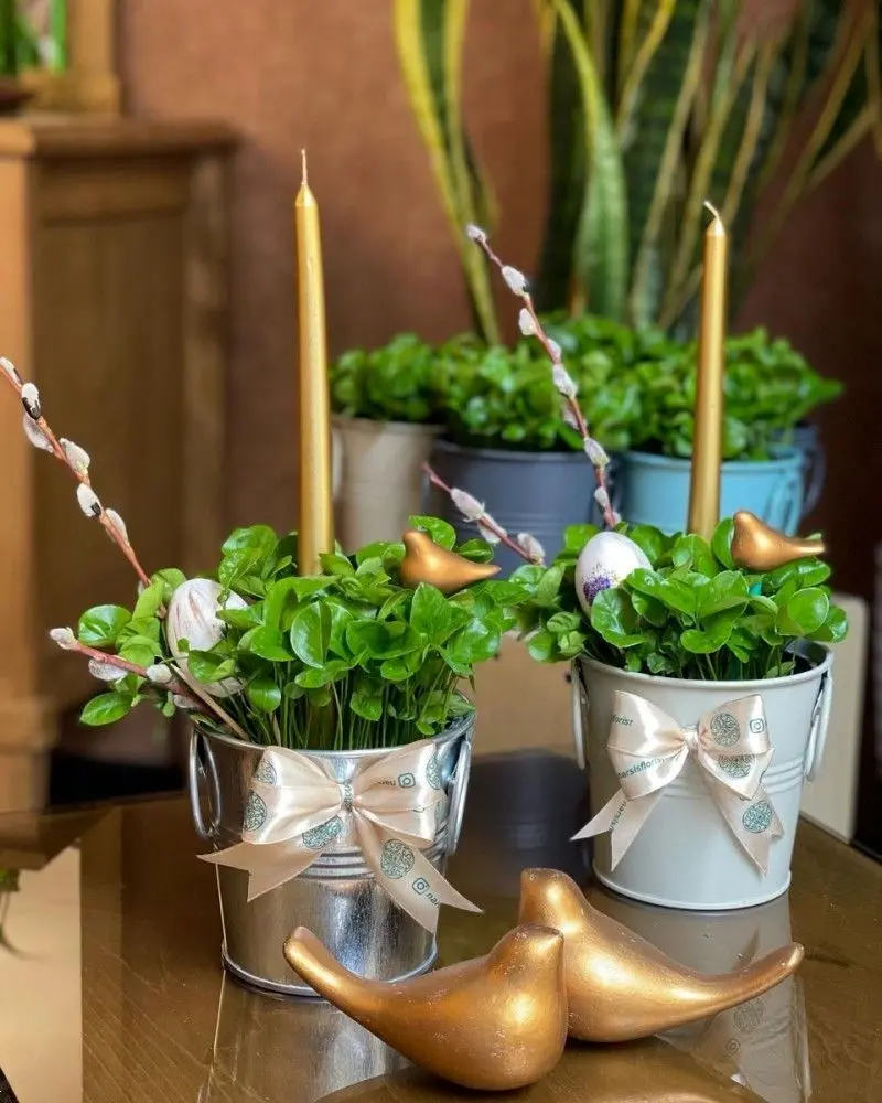 مدل سبزه عید ۱۴۰۵ | بهترین ایده های خلاقانه ساده و جذاب مدل سبزه عید ۱۴۰۵ مخصوص عروس هایی که میخوان سفره هفت سین شیکی داشته باشن!