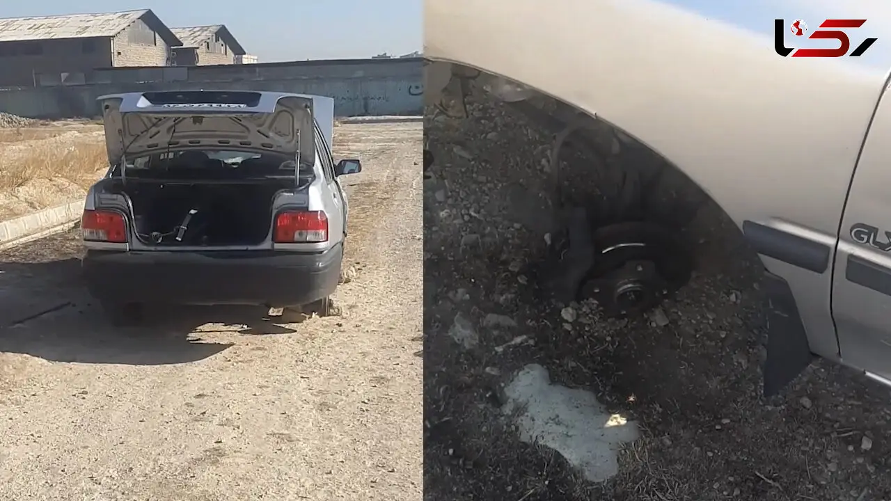  گلستان تهران جولانگاه بی خطر سارقان خونسرد + فیلم

