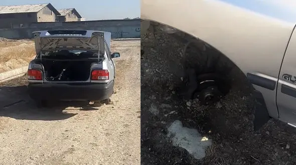  گلستان تهران جولانگاه بی خطر سارقان خونسرد + فیلم

