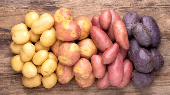 روز جهانی سیب‌ زمینی!