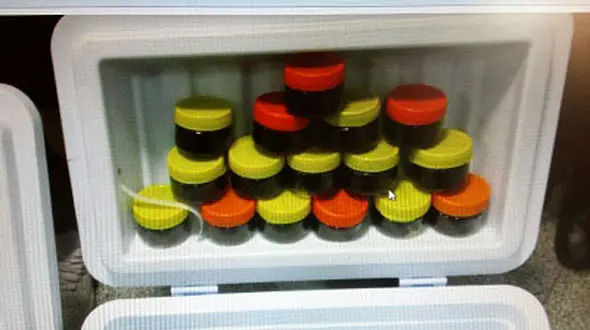 مسافر عرب پرواز مشهد به کویت بوی خاویار میلیونی می داد+ عکس