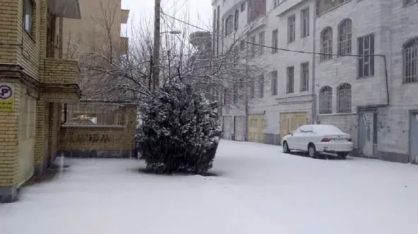 تصاویری زیبا از بارش برف در اردبیل 