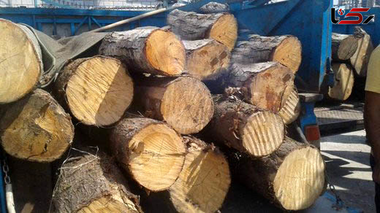 بیش از 3 تن چوب جنگلی قاچاق در لردگان کشف شد
