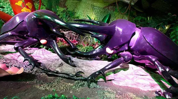 موزه حشرات غول آسا در تنسی آمریکا