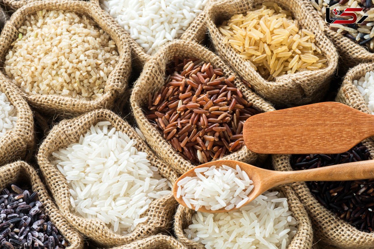 چگونه برنج را از شپشک زدن نجات دهیم؟