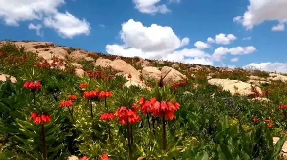 پربازدیدترین مکان‌ های گردشگری ایران در فصل بهار