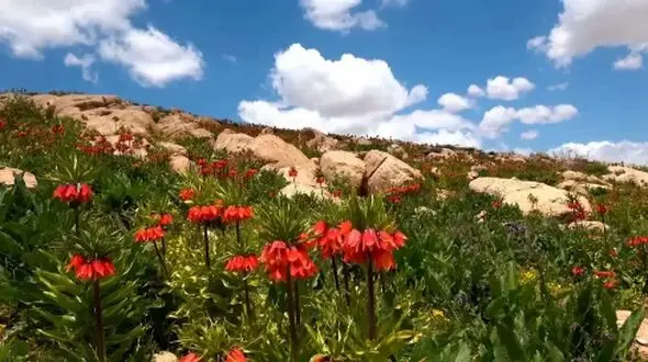 پربازدیدترین مکان‌ های گردشگری ایران در فصل بهار