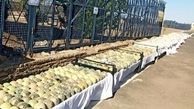 Over 2 tons narcotics confiscated in NE Iran