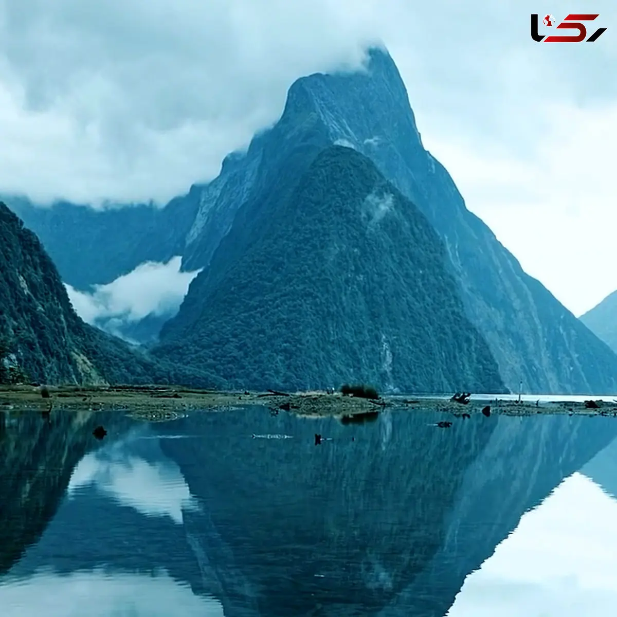 آرامش دلنشین کنار رودخانه + فیلم