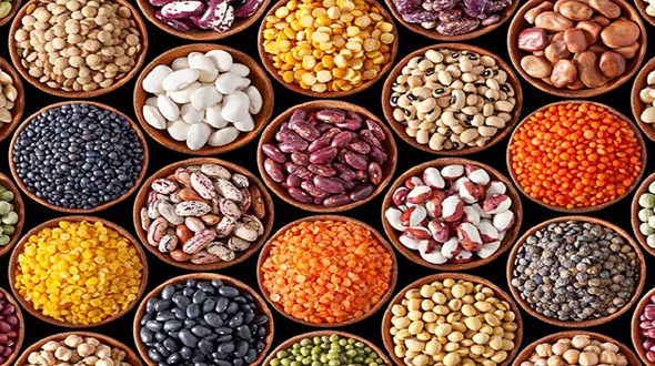 قیمت حبوبات در بازار مهر ماه 99 + جدول