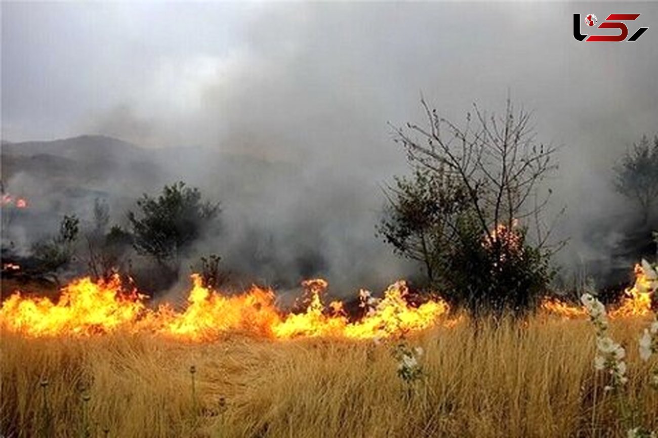 مهار آتش سوزی منطقه "چم چیت" دورود